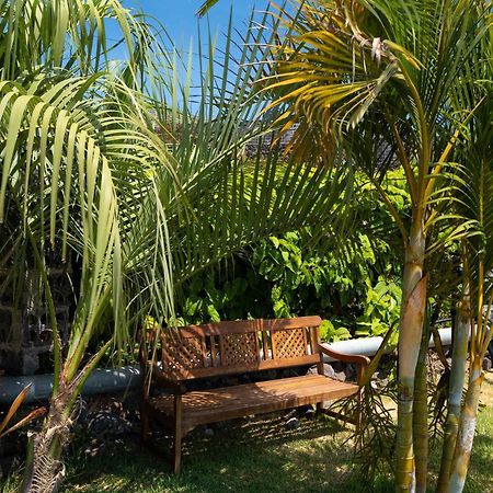 Villa La Graja By Huskalia - Private Pool Los Llanos De Aridane Eksteriør billede