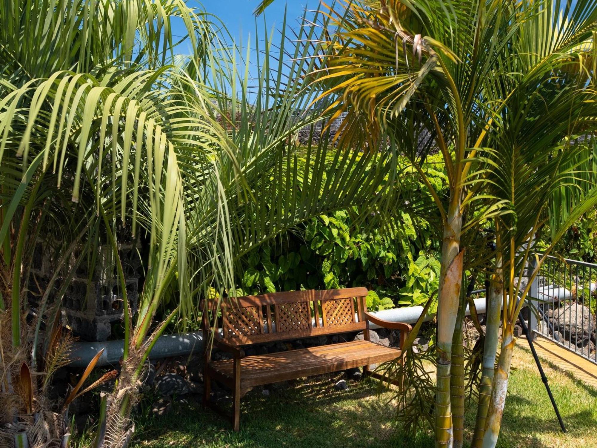 Villa La Graja By Huskalia - Private Pool Los Llanos De Aridane Eksteriør billede